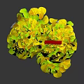 Decorative Plant Arrangement With Yellow Leaves Colorful Flowers And Red Bow On Top