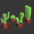 Multiple Green Cactus Plants in Red Pots on Black Background