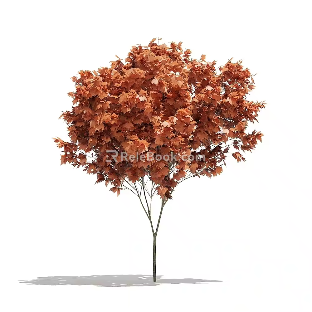 Plant Tree Outdoor Landscape Tree Garden Landscape Tree Red Tree Maple Tree Flower Tree 3d model
