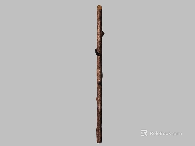 Natural Wooden Branch Decorative Ornament Set With Textured Surface and Small Branches for Home Decoration 3d model 