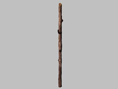 Natural Wooden Branch Decorative Ornament Set With Textured Surface and Small Branches for Home Decoration 3d model