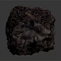 Natural Dried Date Fruit With Dark Wrinkled Surface And Organic Texture 3d model
