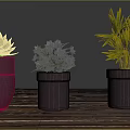 Three Potted Succulent Pink Flowering And Palm Like Plants On Wooden Table Brown Background