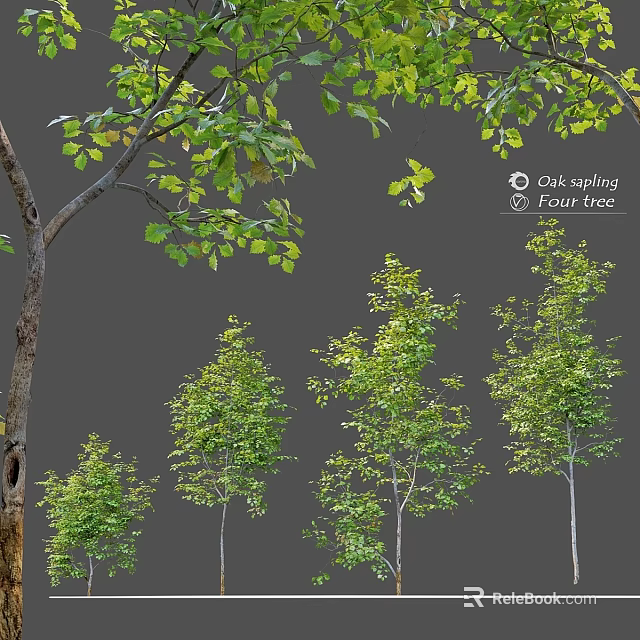 Decorative Tree Ornament Set With Oak Sapling Fir Tree Various Sizes And Green Leaves 3d model 