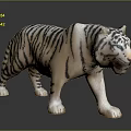 Realistic White Tiger Figure With Black Stripes And Blue Eyes In Standing Pose