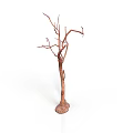 Dried Tree Branch With Bare Twigs And Natural Texture Isolated On White Background