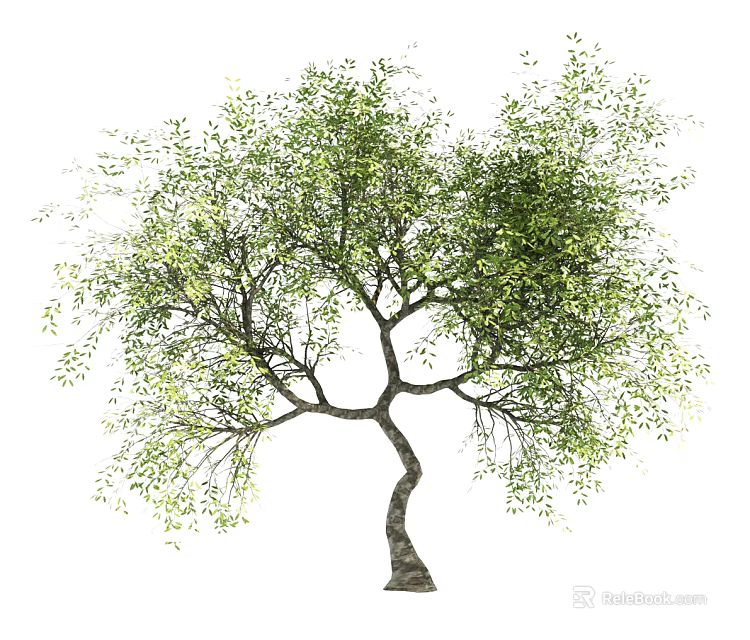Lush Green Arbor With Curved Trunk And Dense Foliage In Natural Scene 3d model 