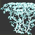 Unique Curved Trunk Trees With Slender Branches And Small Leaves On White Background