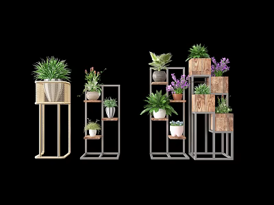 Varied Potted Plants On Wooden And Metal Plant Stands With Green And Purple Foliage 3d model