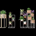 Varied Potted Plants On Wooden And Metal Plant Stands With Green And Purple Foliage