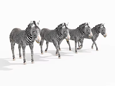 Various Reptile Species In Natural Habitat With Sunlight And Vegetation 3d model