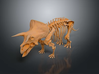 Detailed Triceratops Skeleton 3D Model of Prehistoric Dinosaur with Anatomical Structure 3d model