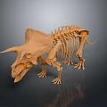 Detailed Triceratops Skeleton 3D Model of Prehistoric Dinosaur with Anatomical Structure