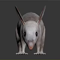 Anteater with Light Fur Large Ears Long Snout and Black Tipped Tail on Dark Surface