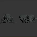 Grey Colored 3D Rendered Insect Models Of Different Species