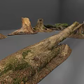 Natural Stone And Wood Elements Including Logs Stumps With Mossy Details