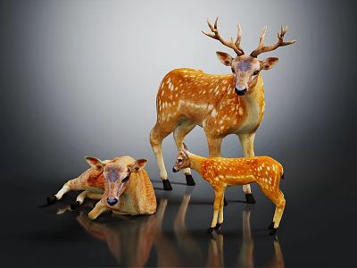 Three Deer Group With Standing Antlered Adult Lying Doe And Small Spotted Fawn Against Black Background 3d model