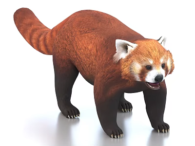 Standing Red Panda With Brown Fur Black Legs White Ears And Open Mouth 3d model