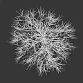 Plant Painting Featuring Tree With Yellow Leaves And White Trunk On Dark Gray Background