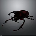 Striking Red Beetle With Large Curved Horns On Dark Background 3d model