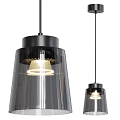 Modern Hanging Pendant Lights With Glass Shade Black Metal And Illuminated Ring