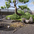 Japanese Courtyard Garden With Red Maple Trees Stones Green Lawn And Wooden House