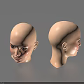 Woman Bald Head Model Display Front And Side View Design Details