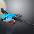 Flying blue and white bird with black wings and red claws in grey gradient background