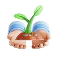 Green Seedling Growing In Soil With Pebbles Held By Hands In Blue White Striped Sleeves