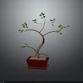 Decorative Potted Plant with Curved Trunk Green Leaves in Red Pot