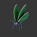 Green Transparent Winged Butterfly With Metallic Silver Body And Reflection On Dark Background
