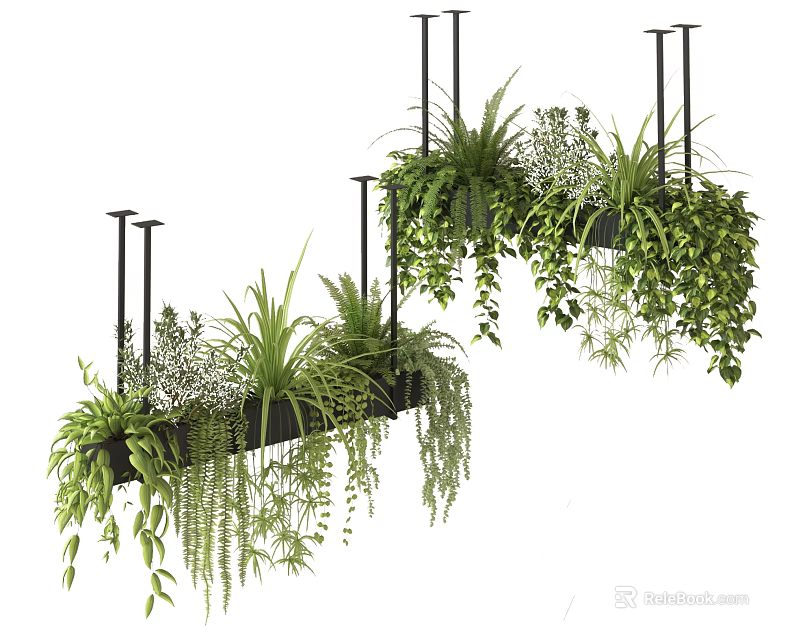 Lush Hanging Basket Plants With Trailing Greenery For Indoor Home Decor 3d model 