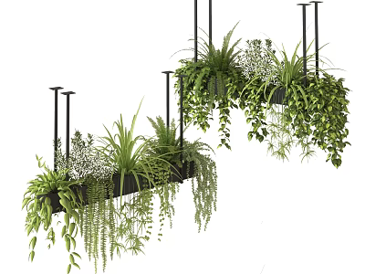Lush Hanging Basket Plants With Trailing Greenery For Indoor Home Decor 3d model