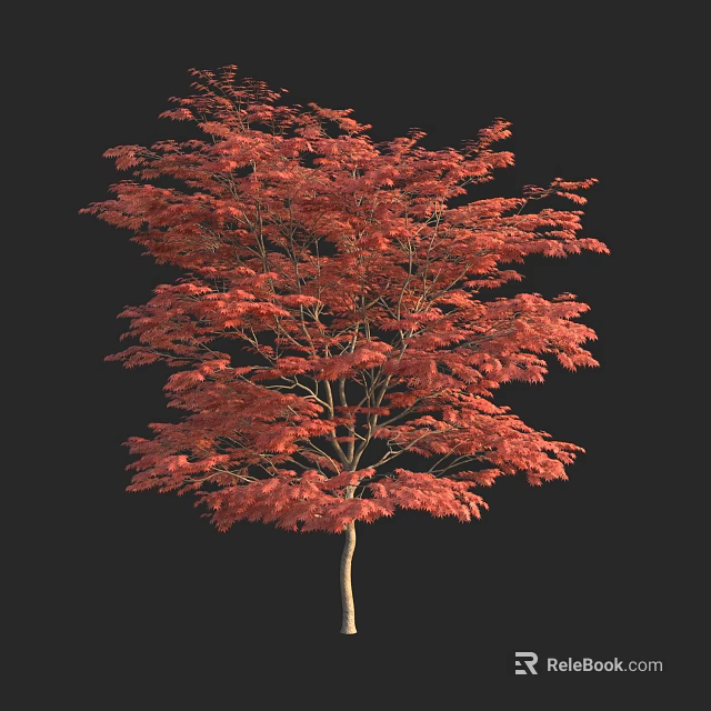 Red Leaf Arbor With Light Brown Trunk Isolated On Black Background 3d model