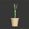 Green Spiky Plant Growing In Beige Flower Pot With Dark Soil And Gray Background