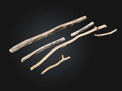 Natural Stone And Wood Branches In Various Shapes For Home Decoration 3d model