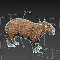 Realistic 3D Capybara Model With Brown Fur Standing On Black Background 3d model