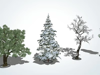 Green Leafy Snow Covered Pine and Bare Branched Arbor Trees in Landscape 3d model