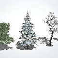 Green Leafy Snow Covered Pine and Bare Branched Arbor Trees in Landscape 3d model