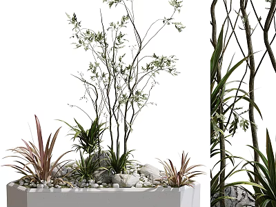 Indoor Decorative Plant Display With Octagonal Container Green Red Foliage Natural Branches And Pebbles 3d model