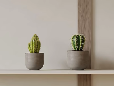 Two Green Cacti In Gray Pots On White Shelf With Wooden Accent Wall 3d model