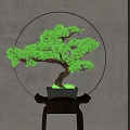 Bonsai Tree on Dark Table with Circular Decorative Element and Light Background Wall 3d model