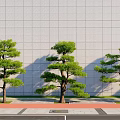 Three Shaped Pine Trees Against Gray Wall With Red Bricks And Gray Pavement