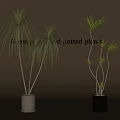 Leafy Potted Plants in White and Gray Pots for Modern Home Decor with Tall Stems