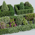 Trimmed Shrubs In Various Shapes With Colorful Blooms For Landscape Design