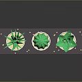 Potted Cactus And Aloe Vera Plants Arranged On Dark Tray With Small Dots