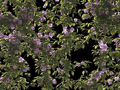 Lush Hanging Basket Plants With Vibrant Purple Flowers And Green Leaves For Home Decor 3d model