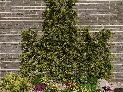 Lush Living Plant Wall Covering Gray Brick Wall With Colorful Flowers At Base 3d model