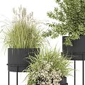 Bonsai Potted Plants With Various Green Foliage In Black Pots On Metal Stands