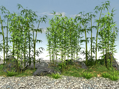 Natural Bamboo Grove with Green Leaves Tall Stems Stones and Grass in Outdoor Landscape 3d model